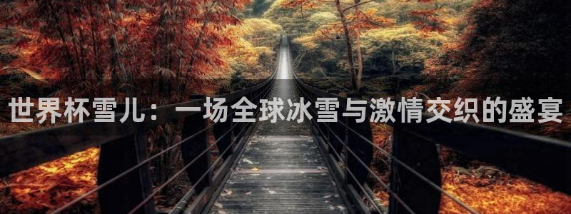 世界杯预选赛欧洲：世界杯雪儿：一场全球冰雪与激情交织的盛宴