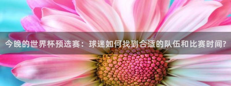 世界杯 赛程：今晚的世界杯预选赛：球迷如何找到合适的队伍和比赛时间?