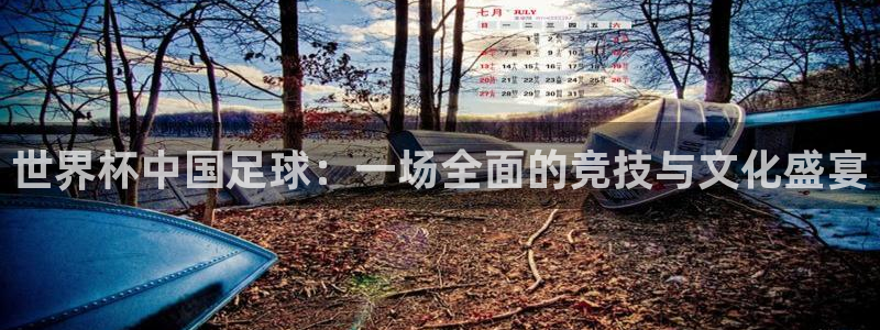 世界直播：世界杯中国足球：一场全面的竞技与文化盛宴