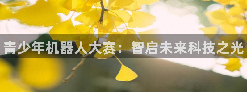 世界杯预选赛直播：青少年机器人大赛：智启未来科技之光