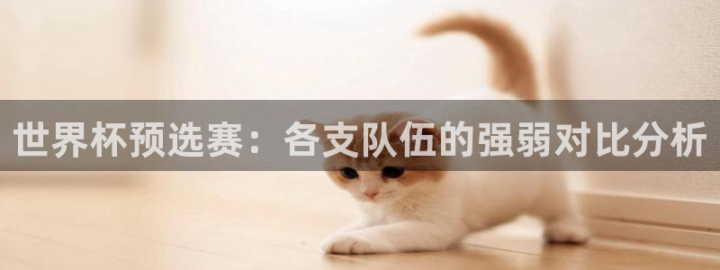 世界杯欧洲区世预赛赛程：世界杯预选赛：各支队伍的强弱对比分析