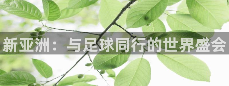 2006年世界杯：新亚洲：与足球同行的世界盛会