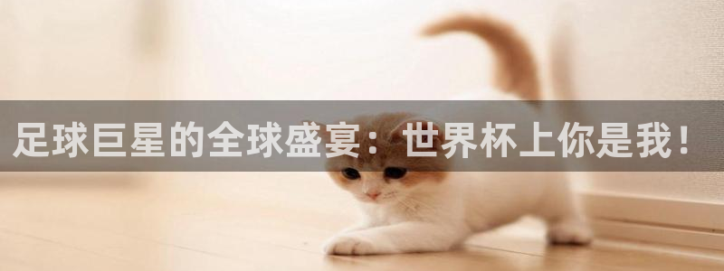 世界杯葡萄牙赛程：足球巨星的全球盛宴：世界杯上你是我！