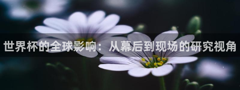 世界杯在线直播入口：世界杯的全球影响：从幕后到现场的研究视角