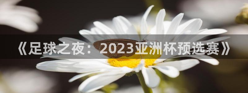 看世界杯：《足球之夜：2023亚洲杯预选赛》